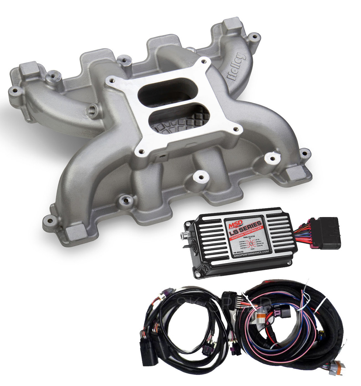 LS Cathedral Port Carb Conversion Holley 300-130 Dual Plane Intake